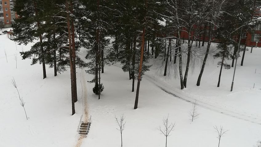 Опрос: ради снега в будущем литовцы отказались бы от новых вещей, но не от мяса и автомобиля
