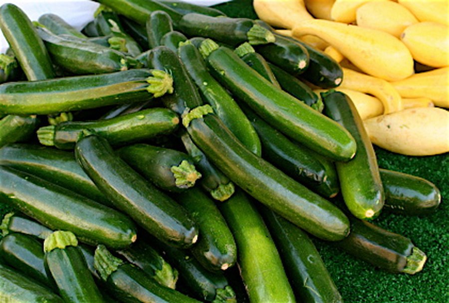Кабачки: полезные свойства и противопоказания - Наука и здоровье