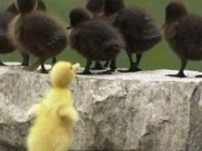 За — толерантность, против — дискриминации! - В Висагинасе