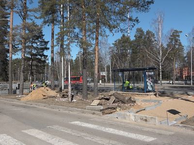 При замене покрытия у автобусной остановке сосны не пострадали (видео) - В Висагинасе