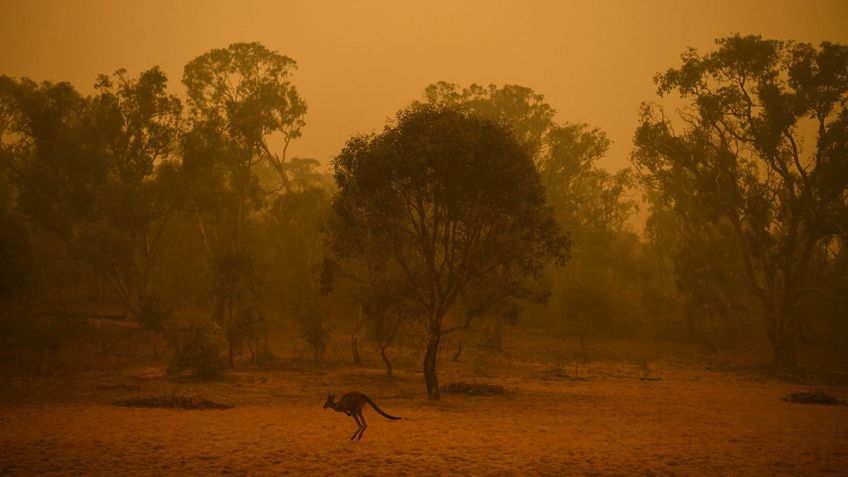 Australijoje pasirodžius lietui gyventojams kiek atlėgo, tačiau ir toliau perspėjama apie didžiulį gaisrų pavojų