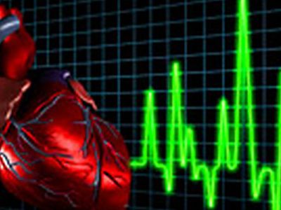 Пересадили сердце, а с ним и… душу. Можно ли создать человека из «запчастей» - Наука и здоровье