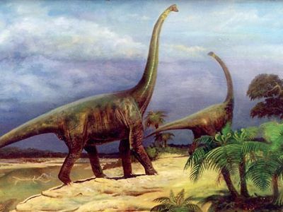 Канадский палеонтолог намерен вывести динозавров путем манипуляций с куриными эмбрионами - Наука и здоровье