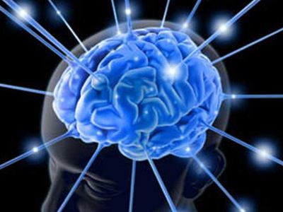 Мозг может меняться всю жизнь - Наука и здоровье