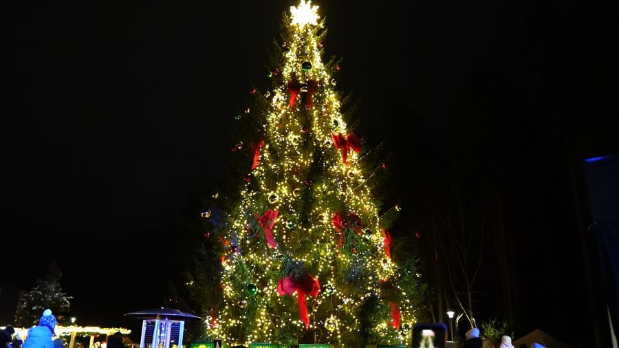 Как прошёл праздник зажжения рождественской ёлки в Висагинасе (видео) - В Висагинасе