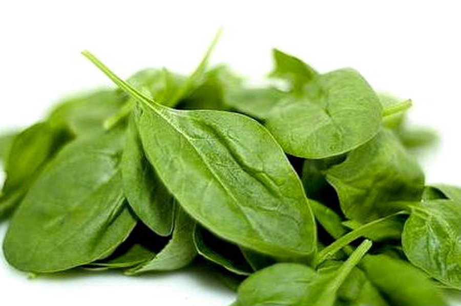 В шпинате, хранящемся на свету, больше витаминов - Наука и здоровье