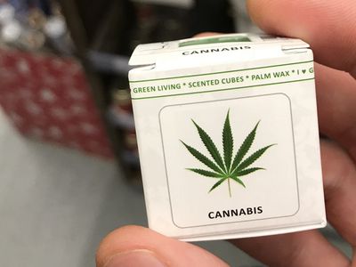 У здания парламента состоялся митинг против сурового наказания за хранение конопли - Литва и страны Балтии