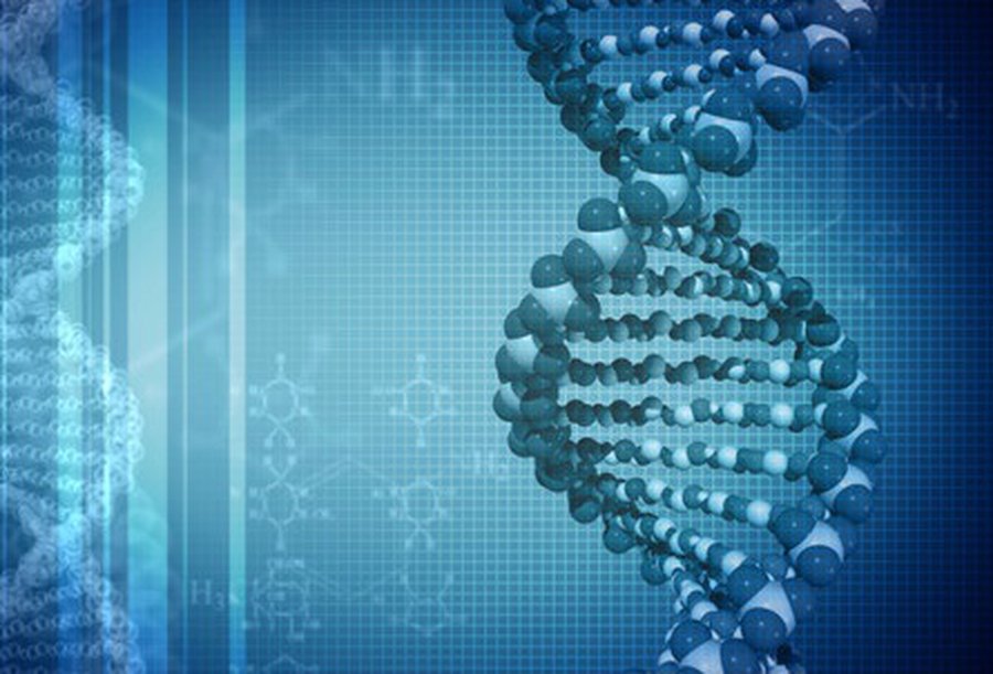 Можно ли дополнить генетический алфавит? - Наука и здоровье