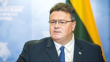 После визита в Москву Литва призвала Эстонию согласовывать действия