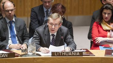 В Совете по правам человека Литва отклонила обвинение России