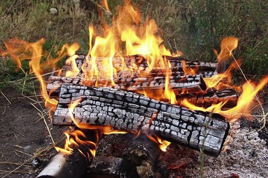 Даля Грибаускайте против монополистов-тепловиков - Энергетика