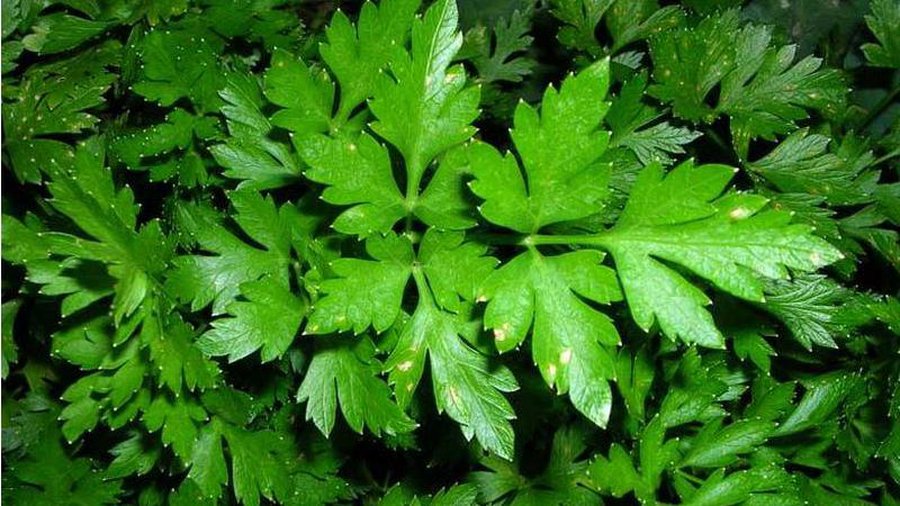 Сводка криминальных происшествий за 16 cентября - Происшествия и криминал