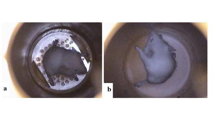 Антигравитация. Магнитная левитация - Наука и здоровье