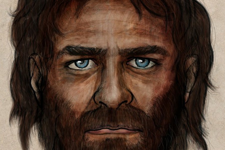 Первые европейцы - смуглые и голубоглазые - Наука и здоровье