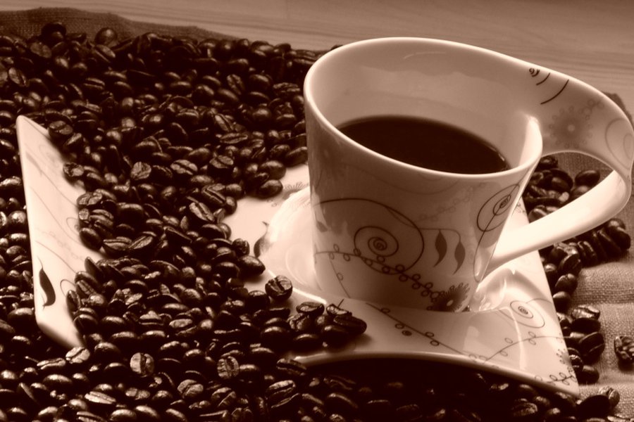 О пользе вредных привычек: пиво, кофе, лень
                                                                 - Хобби, отдых и развлечения