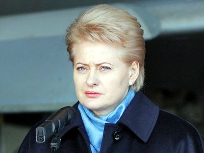 Литва готовится к партизанской войне: Литва за неделю - Литва и страны Балтии