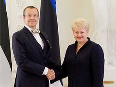 Президент Эстонии: не стоит строить иллюзии и сваливать вину на евро                                  - Литва и страны Балтии
