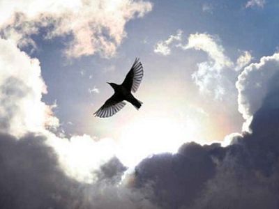 О том, как нейробиолог на том свете побывал - Наука и здоровье