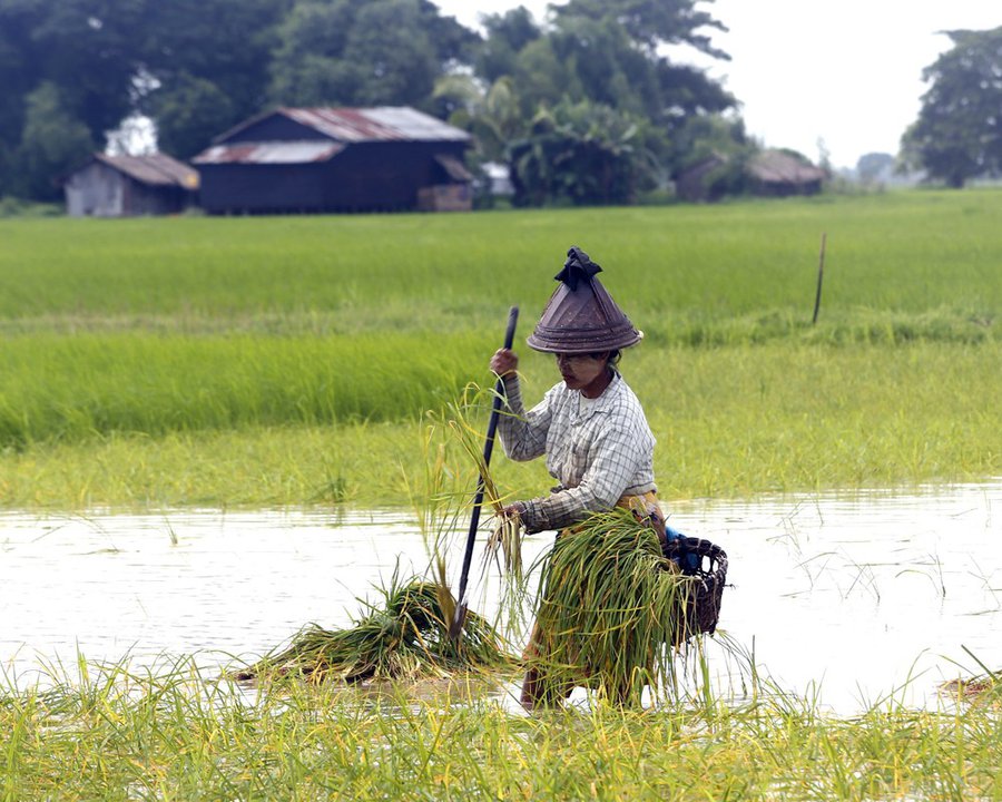 США испытывали биологическое оружие на японской Окинаве - В Мире