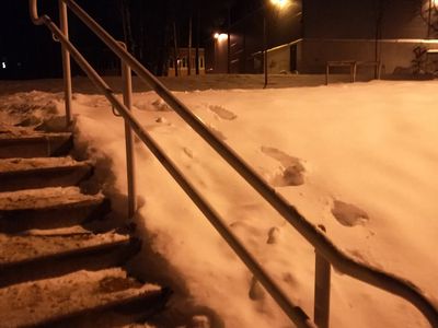 Вы спрашивали: куда обращаться по поводу установки поручней на уличных лестницах? - В Висагинасе