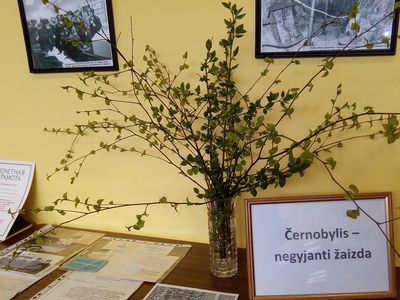 Как отметят 32-ю годовшину аварии на ЧАЭС висагинские ликвидаторы - В Висагинасе