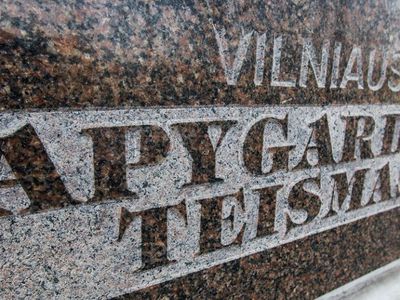 Вильнюсский окружной административный суд в четверг продолжит рассмотрение жалобы Йонаса Милюса - Литва и страны Балтии