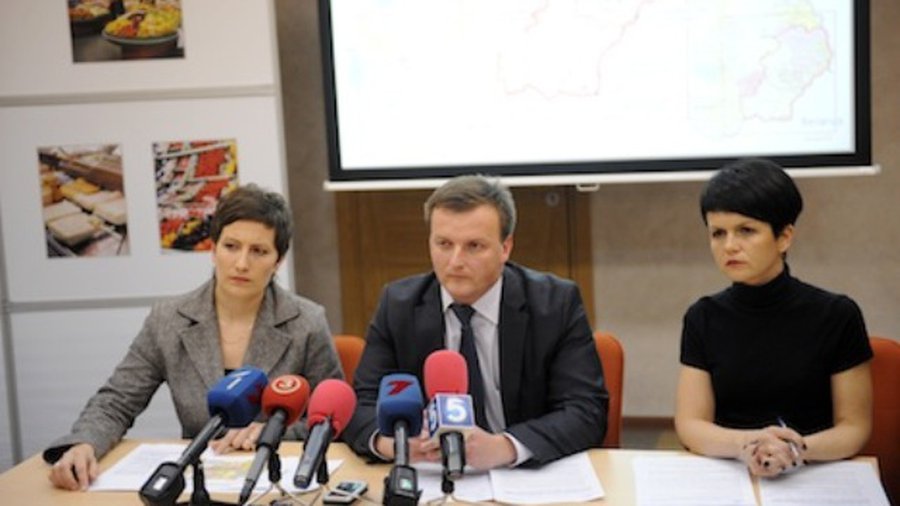 Для борьбы с африканской свиной чумой вдоль границ построят забор - В Мире