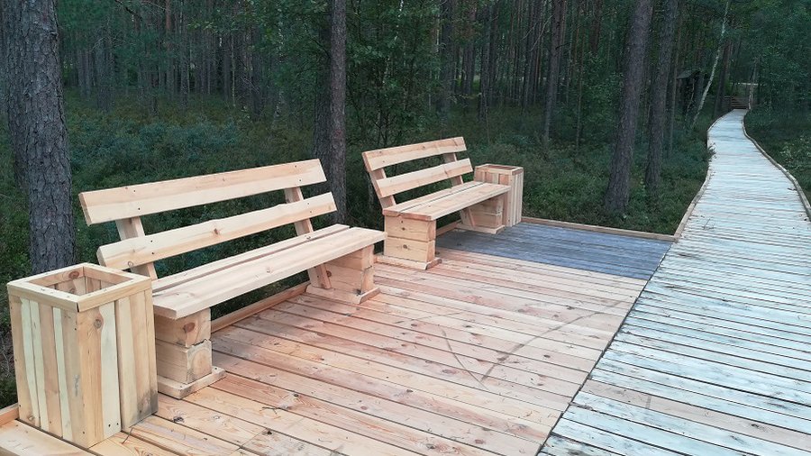 Тропа на оз. Кукуйже радует глаз: такой красивой и удобной она не была еще никогда - В Висагинасе