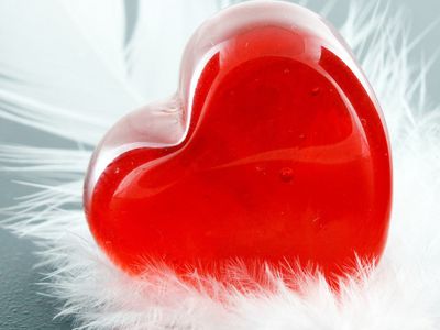 Сегодня в мире отмечают самый романтичный праздник — День святого Валентина - В Висагинасе