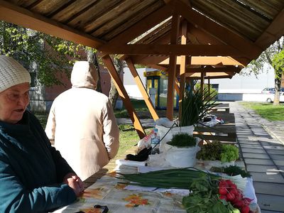 Уличные торговцы получат новые удобные прилавки. Вопрос – когда? - В Висагинасе