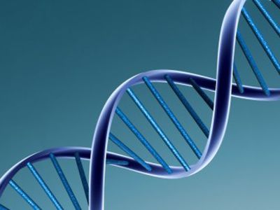 Создан эмбрион от двух «мам» и одного «папы» - Наука и здоровье