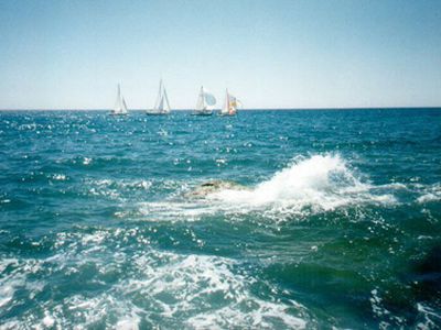 Кладбища выходят из моды в Германии                                 - Хобби, отдых и развлечения