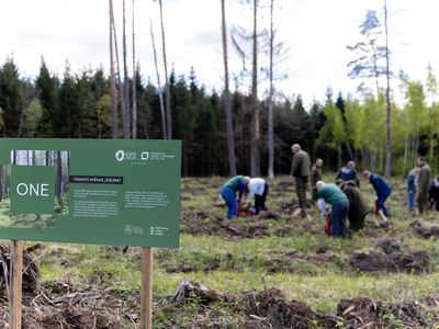 Два литовских проекта вышли в финал "City Nation Place Awards" - Литва и страны Балтии