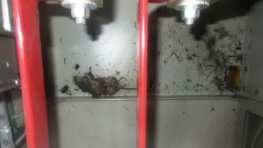 На АЭС «Фукусима-1» произошла новая утечка радиации  - Энергетика