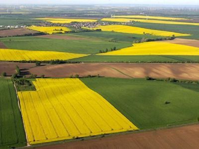 Сейм отказался от предохранителей, связанных с приобретением земли сельхозназначения, - Литва и страны Балтии