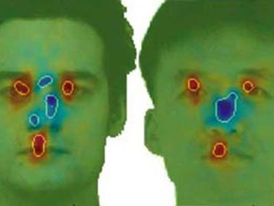 Европейцы и азиаты по-разному воспринимают человеческие лица - Наука и здоровье