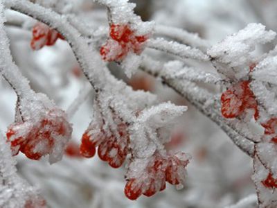 Lietuvoje – itin žvarbūs ir snieguoti orai - Lietuva ir Baltijos šalys