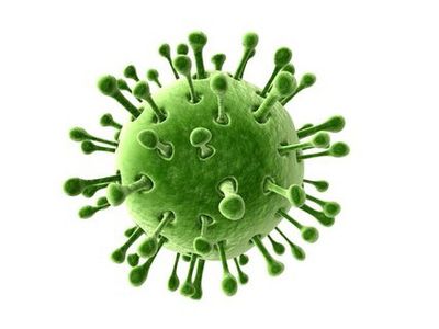 Осторожно: ротавирусная инфекция! - Наука и здоровье