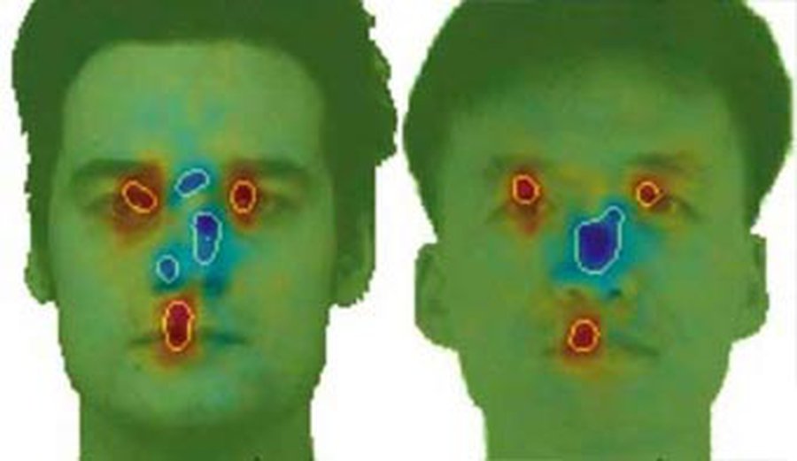 Европейцы и азиаты по-разному воспринимают человеческие лица - Наука и здоровье