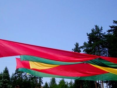 Мероприятия ко Дню  государственности в Висагинасе - В Висагинасе