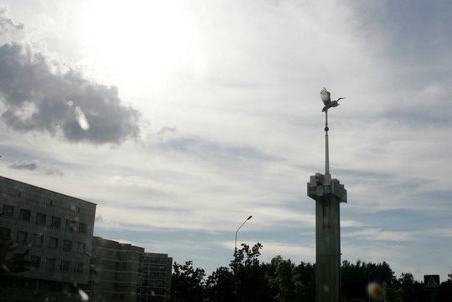 О выборах в Совет Висагинского самоуправления                                                                                                          - В Висагинасе