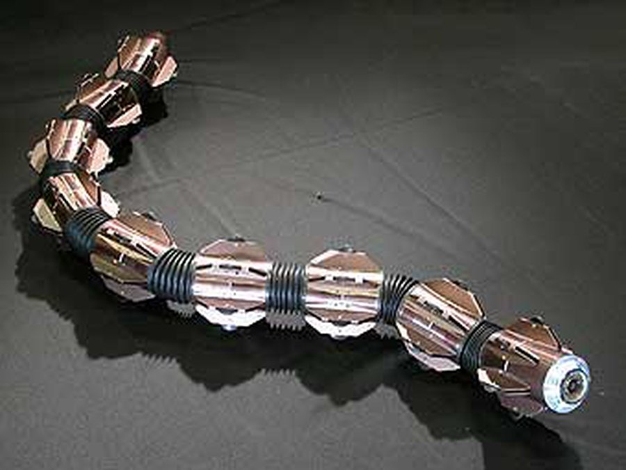 Норвежцы начали разработку робозмеи на колесах - Наука и здоровье