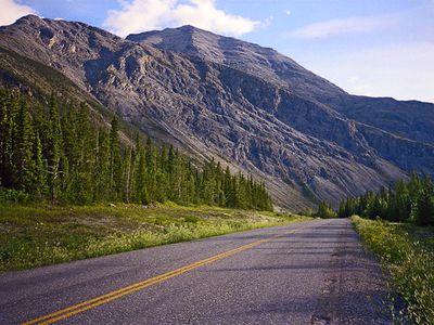 В штате Флорида (США) висагинец попал в аварию                                 - Происшествия и криминал