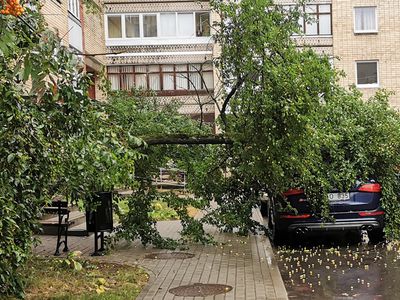 Кадр дня: Пора собирать урожай - Происшествия и криминал