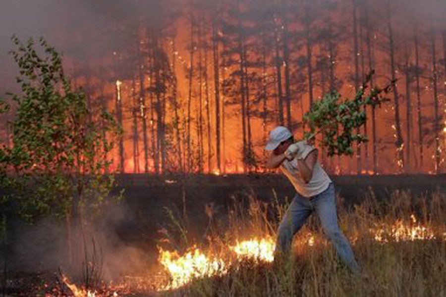 Izraelyje per miško gaisrus žuvo 40 žmonių - Pasaulyje