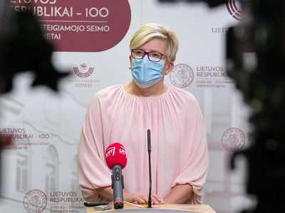 И. Шимоните: более свободное передвижение между самоуправлениями страны пока активно не обсуждается - Литва и страны Балтии