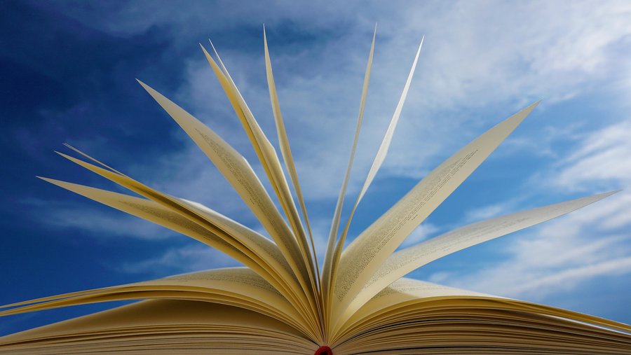 Д. Стапонкуте в Санкт-Петербурге названа лучшей зарубежной писательницей - В Мире