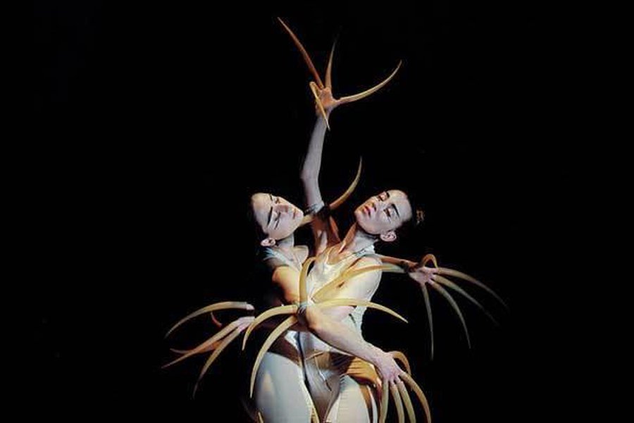 Малый театр Вильнюса открывает Чеховский фестиваль - Культурные и спортивные мероприятия