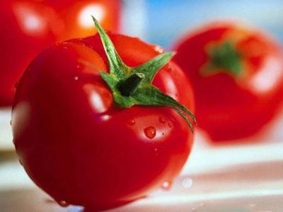 Диетологи США назвали десятку самых полезных продуктов                                                                 - Наука и здоровье