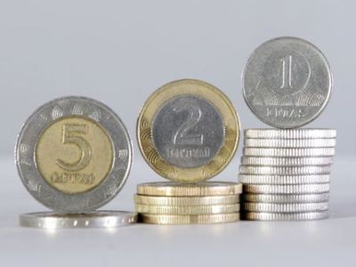 Налоговые льготы на отопление и лекарства остаются, на мясо — нет
 - Литва и страны Балтии